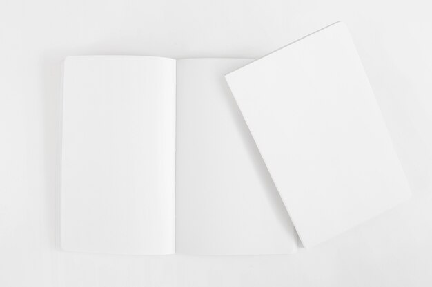 Mockup of two blank booklets