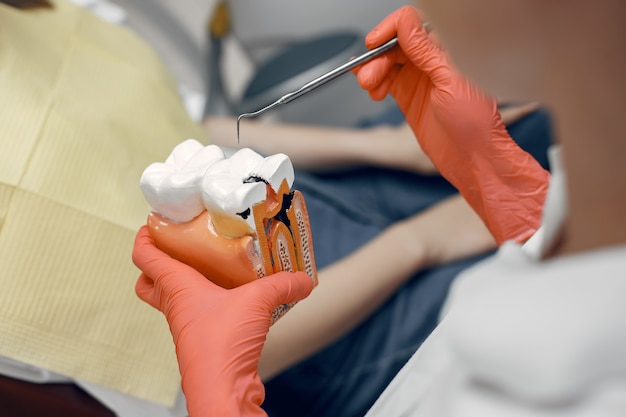 Foto gratuita modello di un dente dal dentista il medico mostra al paziente un dente ricezione nell'ufficio del dentista