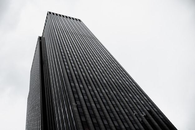 Modern building in urban zone low angle