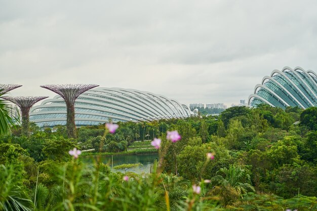 modern complex urban beautiful park