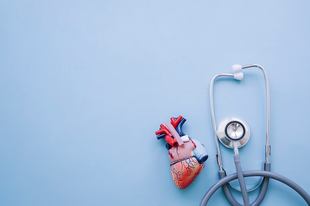 Modern composition with realistic heart and stethoscope