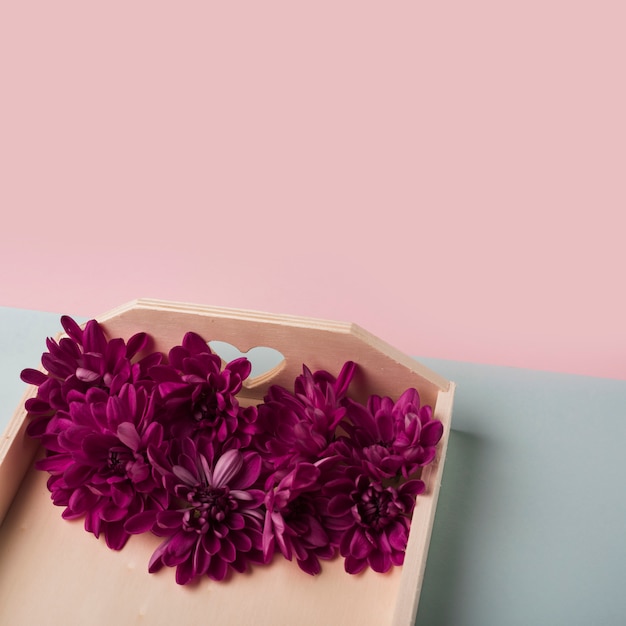 Free photo modern flowers concept with elegant style