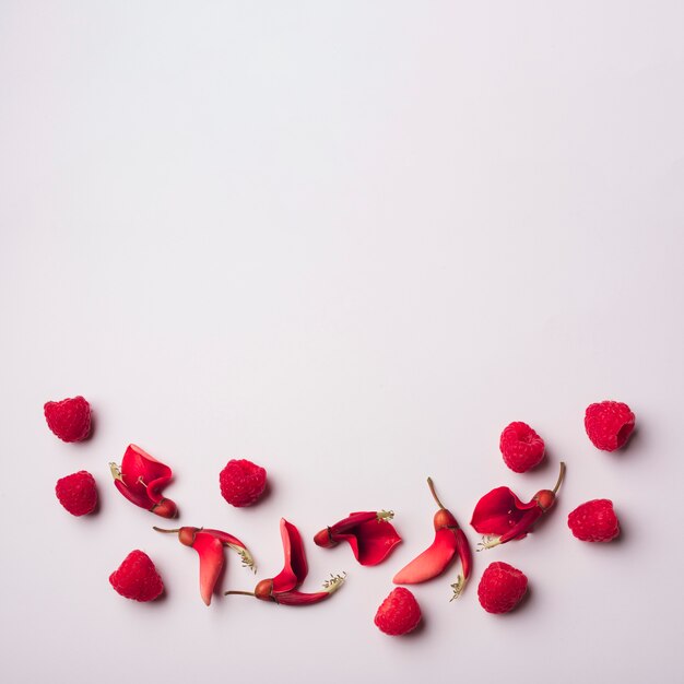 Foto gratuita concetto di fiori moderni con stile elegante