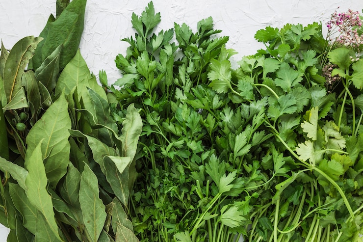 Free Photo modern helathy ingredients composition