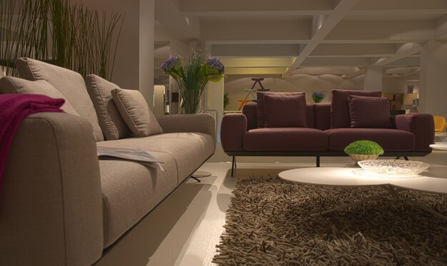 modern indoor furniture house livingroom