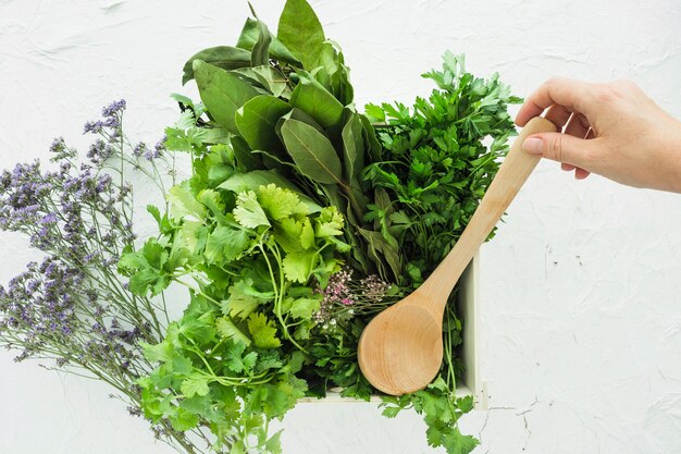 Modern kitchen composition with healthy ingredients