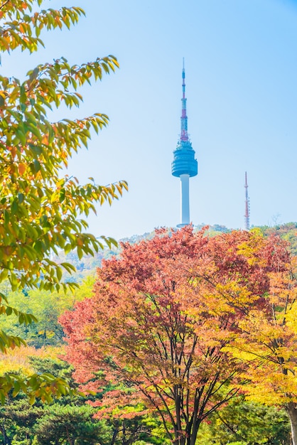 Foto gratuita acero architettura moderna notte corea