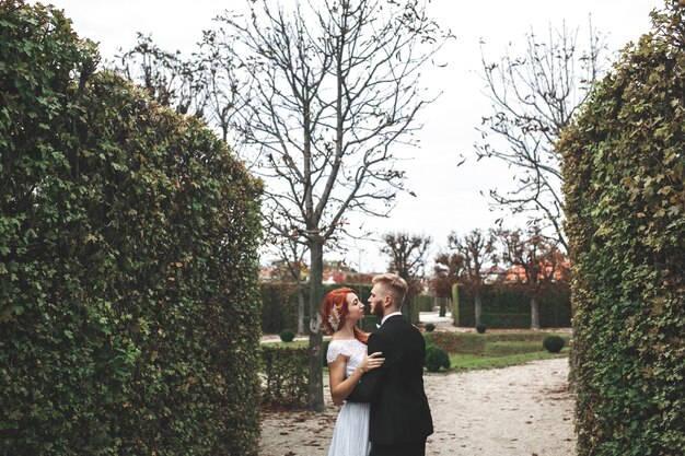 Modern newlyweds kissing in the park