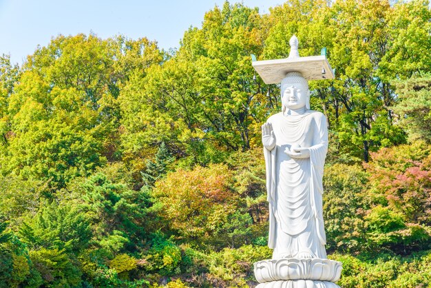 modern south korea buddhism skyline