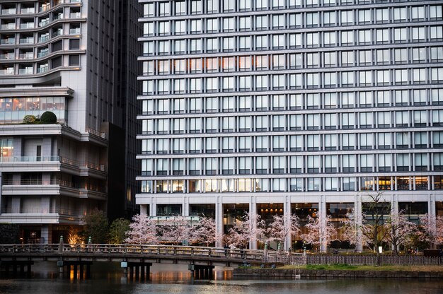 現代の東京通りの背景