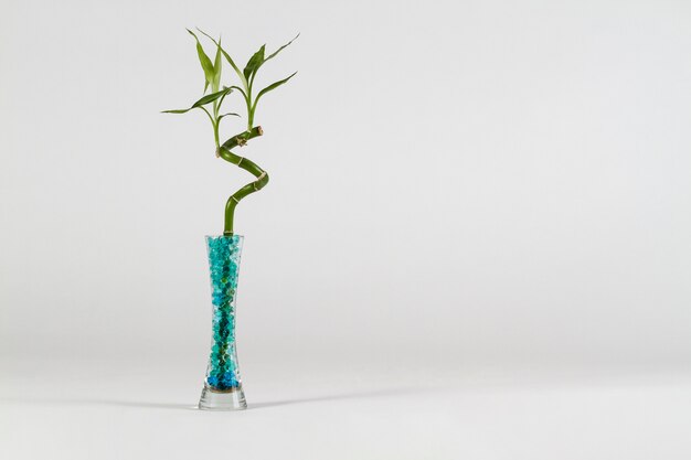 Modern vase with bamboo