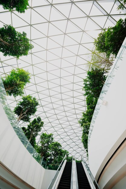 Modern windows of the airport