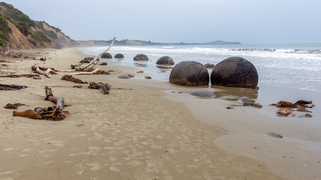 뉴질랜드의 파도가 잘린 오타고 해안의 koekohe 해변에 있는 moeraki boulders