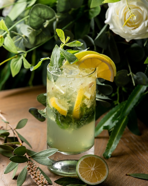 Mohito cocktail with lemon and mint