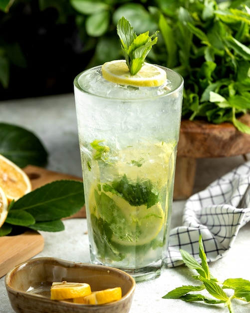 Mojito glass garnished with lemon slice and mint leaves