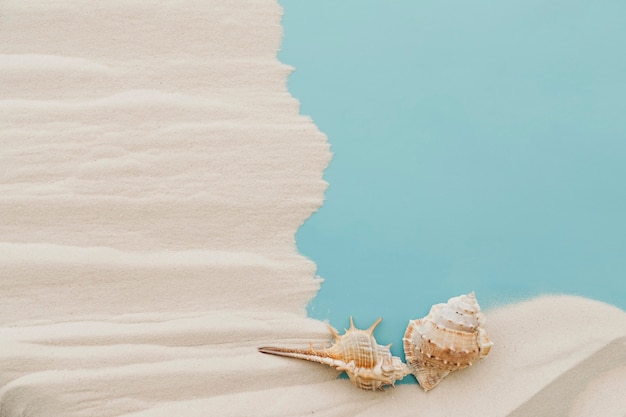 Foto gratuita molluschi sulla sabbia con effetto strappato