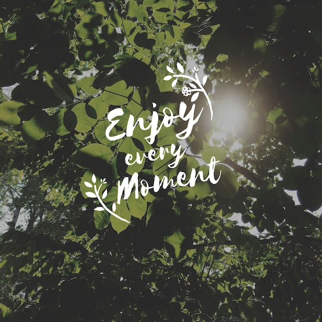 Moment Precious Enjoyment Share Inspire