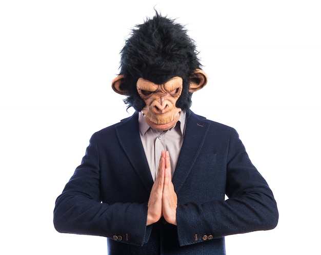 Free photo monkey man pleading over white background