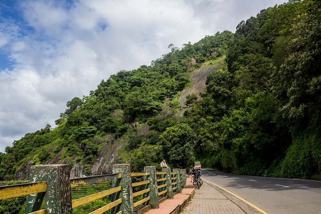 Monkey sitting on the side of a highway with tall hill in the background