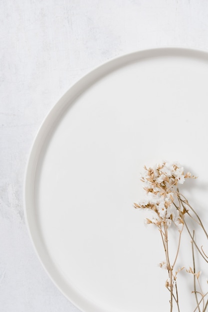 Free photo monochromatic still life arrangement with dry plant