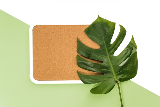 Monstera leaf on board