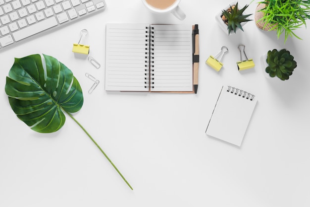 Monstera leaf; plant pots and office stationeries on white background