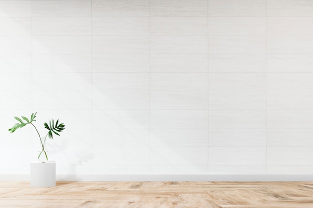 Monstera leaves in a living room