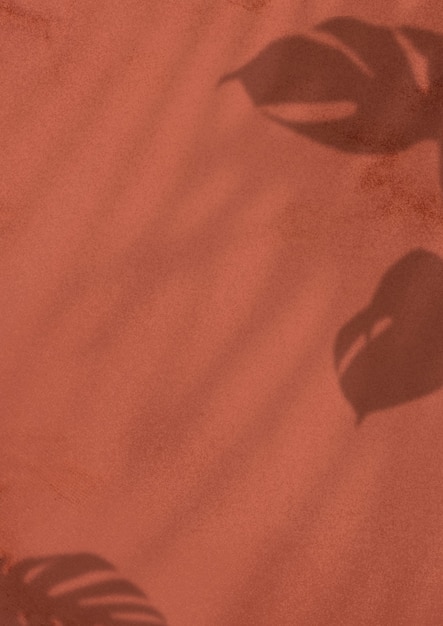 Free photo monstera leaves shadow on brown background