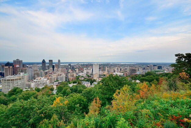 도시 스카이라인이 있는 몽 로열(Mont Royal)의 몬트리올 낮 전망