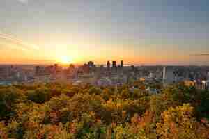 Free photo montreal sunrise viewed from mont royal with city skyline in the morning