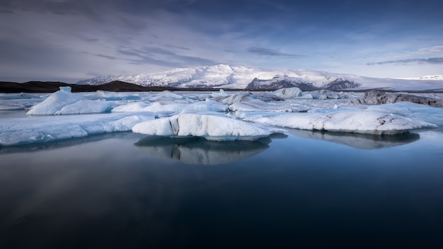 朝の氷