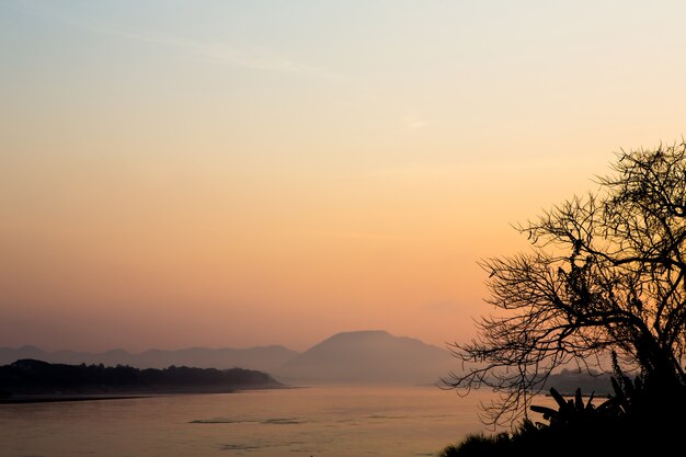 木、川との朝の日光の風景