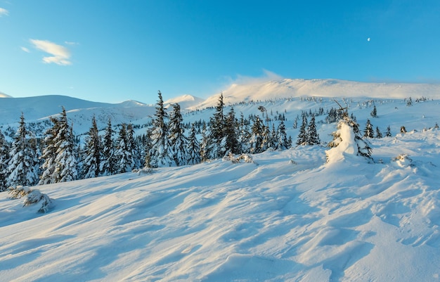 Утренний зимний горный пейзаж с облаками и луной в голубом небе и елями на склоне (карпаты). Premium Фотографии