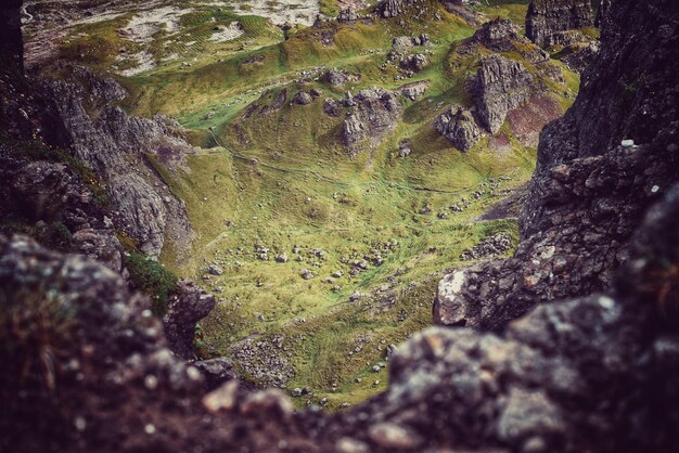 Moss in the rocks and the grass