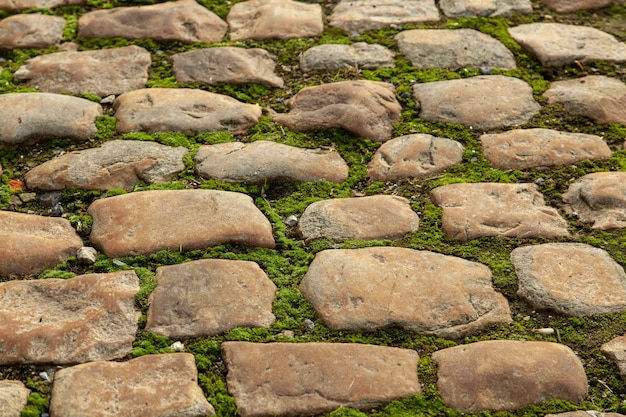 Mossy ground in the middle of a cobblestone pathway