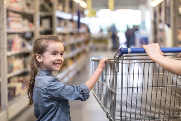 Free photo mother and daughter in blue shirts shopping in supermarket using cart