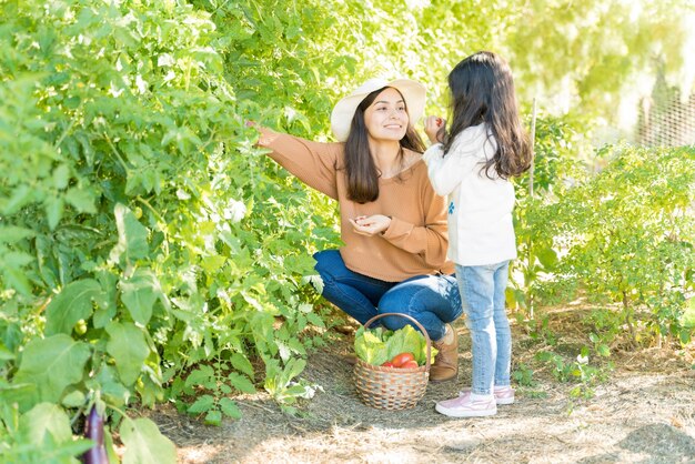 Mother and daughter picking tomatoes together in vegetable garden