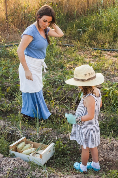 Мать и дочь, стоя в поле, собирают свежие овощи