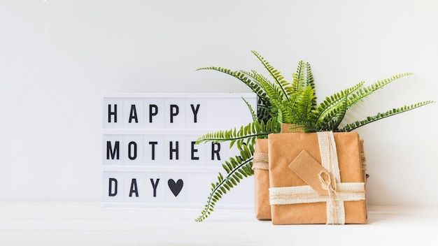 Free photo mother day concept with plant and gift box