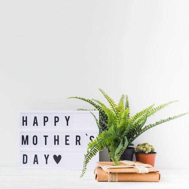 Free photo mother day concept with plant