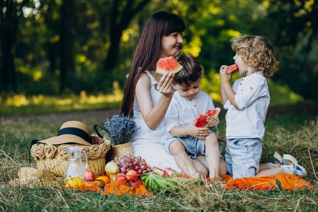 Mother with her sons having picnic in park