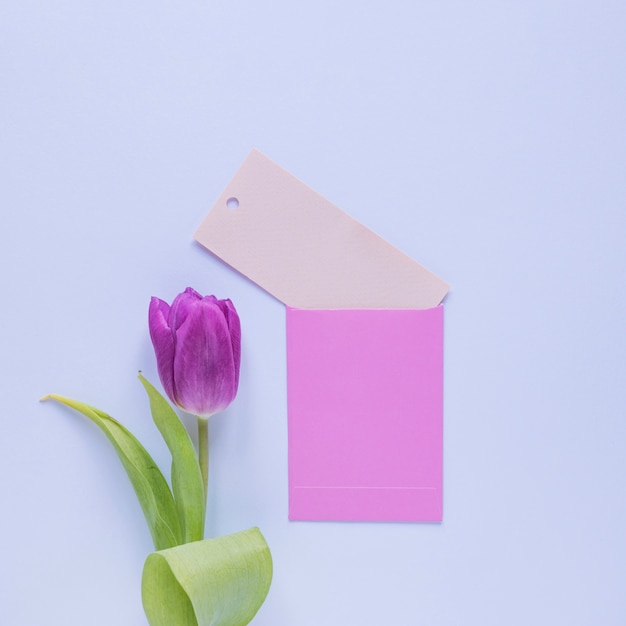 Mothers day still life with envelope