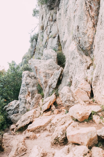 산 배경