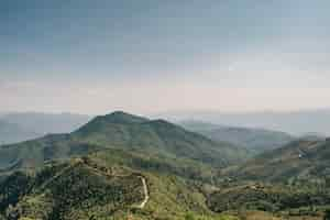 Free photo mountain forest and blue sky