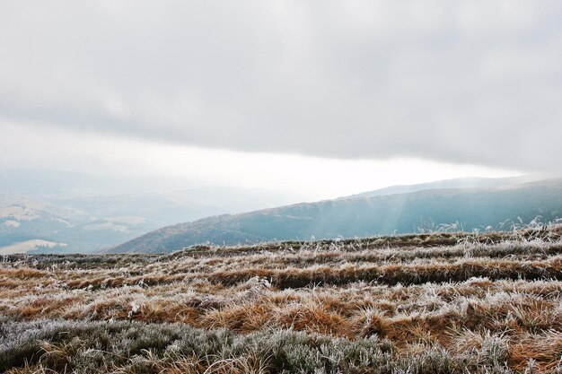 Free photo mountain hill with frost grass and sunlight from clouds