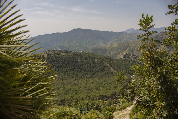 Foto gratuita paesaggio montano