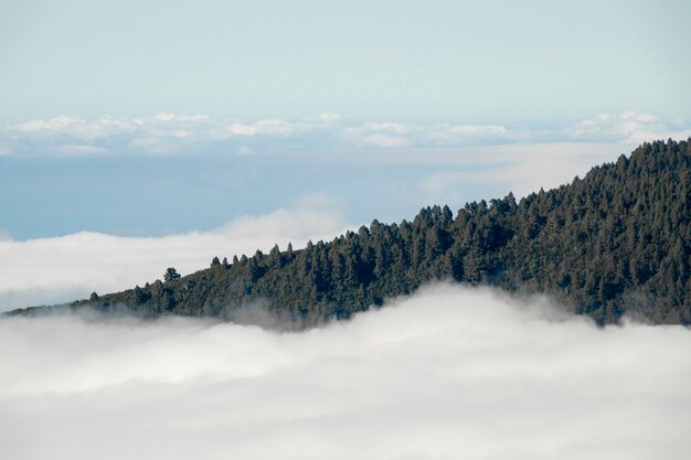 雲の上の山頂