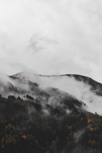 Mountain Range Landscape