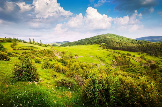 mountain valley in Pyrenees