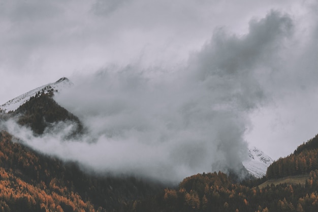 Foto gratuita montagna con nebbia